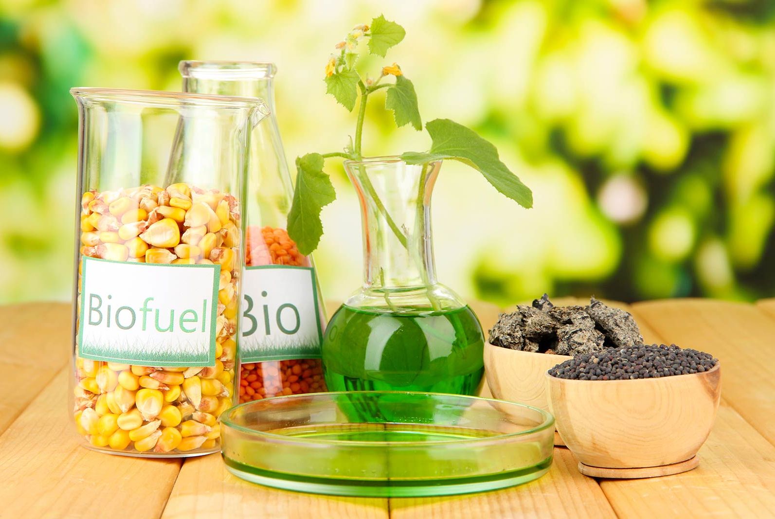  biodiesel-brasil-vantagens